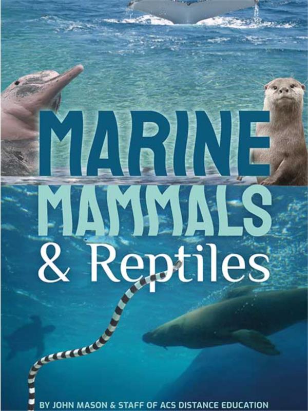 Marine Mammals and Reptiles ebook