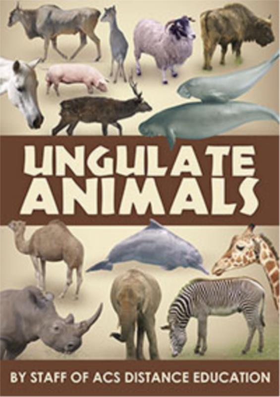 Ungulate Animals ebook